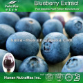 Natural Blueberry Extract Powder 25% (Ratio: 4:1~20:1)
